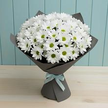 Букет цветов из:  Хризантемы #REPLACE_PRED# Богдановке