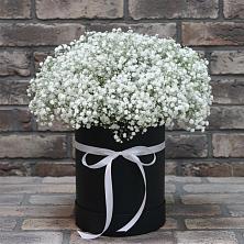 Цветочная композиция из Гипсофила в шляпной коробке в Богдановке