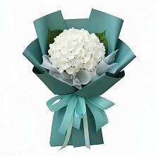 Букет цветов из:  Гортензия в Богдановке